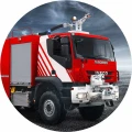 FIR-29.jpg