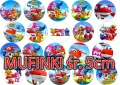MUF_SWI_mix_5cm.jpg