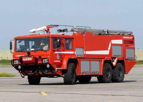 FIR-14.jpg