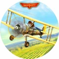 SAM-38.jpg