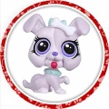 PET-04.jpg