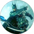 BAT-43.jpg