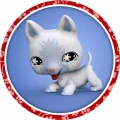 PET-07.jpg