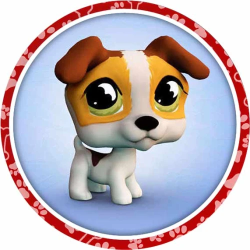 PET-08.jpg