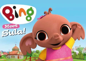 BING 17/30