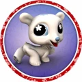 PET-09.jpg
