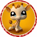 PET-02.jpg