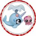 PET-19.jpg