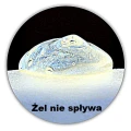 gel1_www.jpg