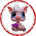 PET-05.jpg