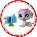 PET-18.jpg