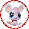 PET-06.jpg