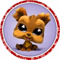 PET-11.jpg