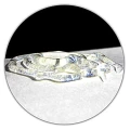 gel2_www.jpg
